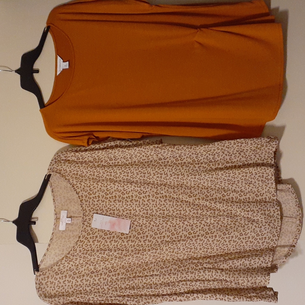 Bundle 2 blouses